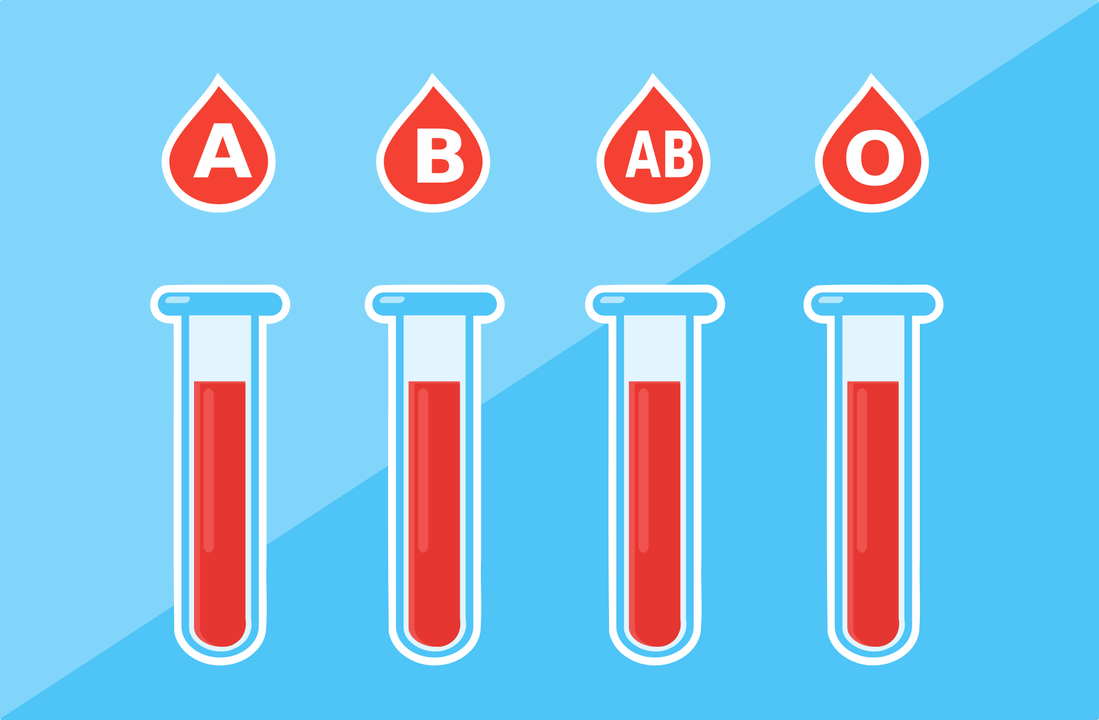 Hay 4 grupos sanguíneos A, B, AB, O. 