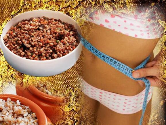 Características de Bucky Nutrition